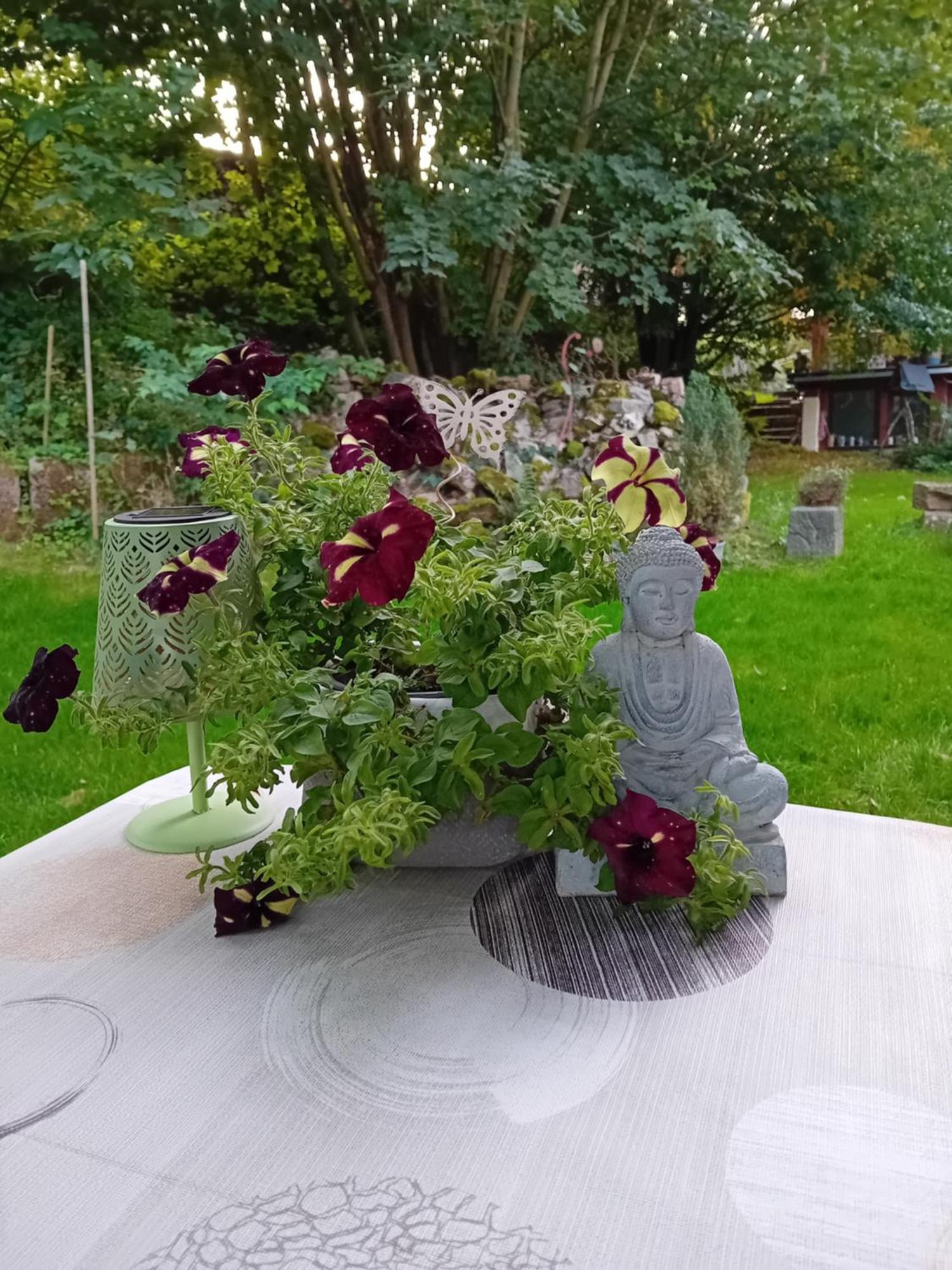 Ferienhaus Mit Garten Im Odenwald Zu Vermieten Frankisch-Crumbach Extérieur photo